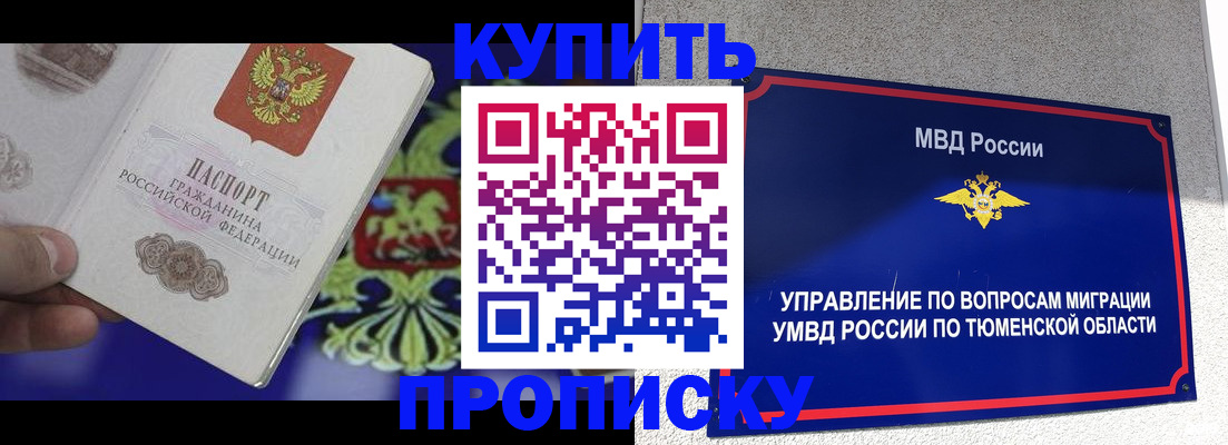 прописка 2025 в Красногорске